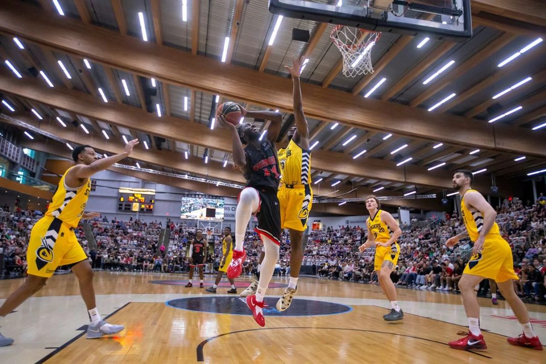 Joueur des Surge Stingers sautant pour un dunk